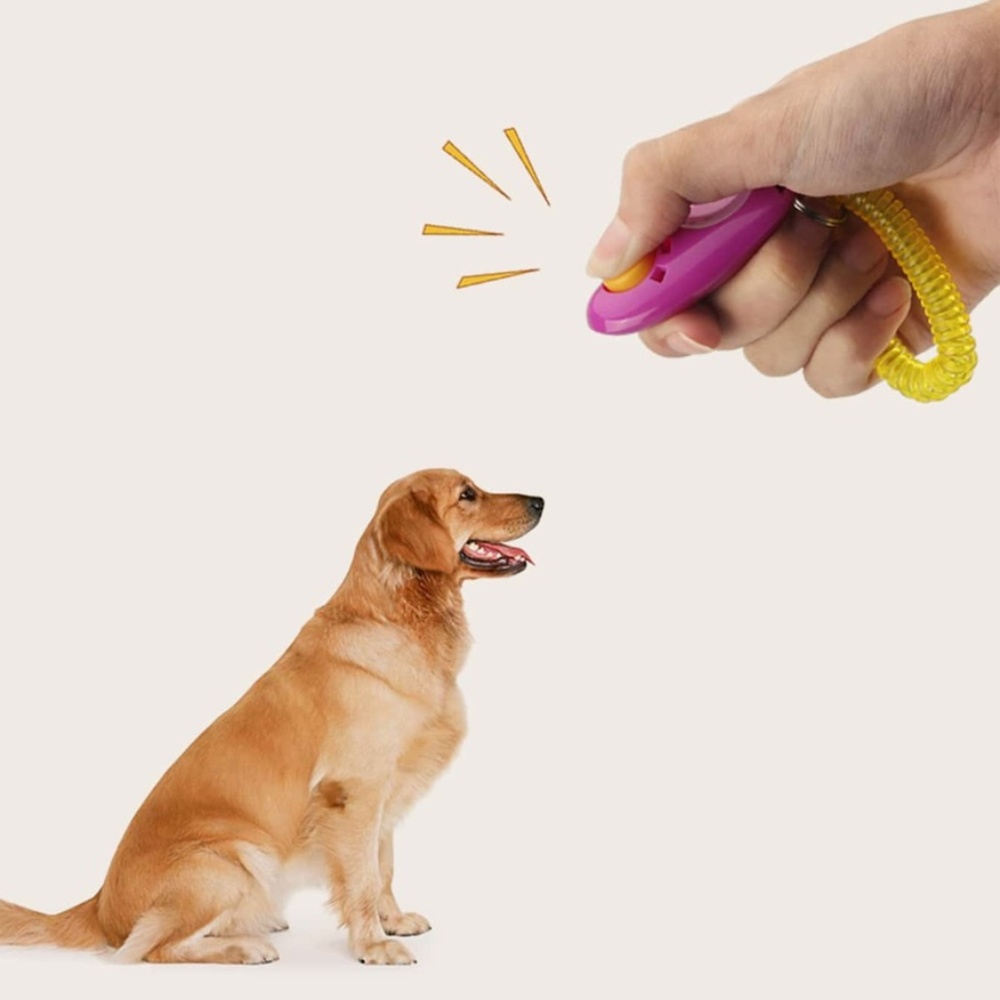 Pet Training Clicker